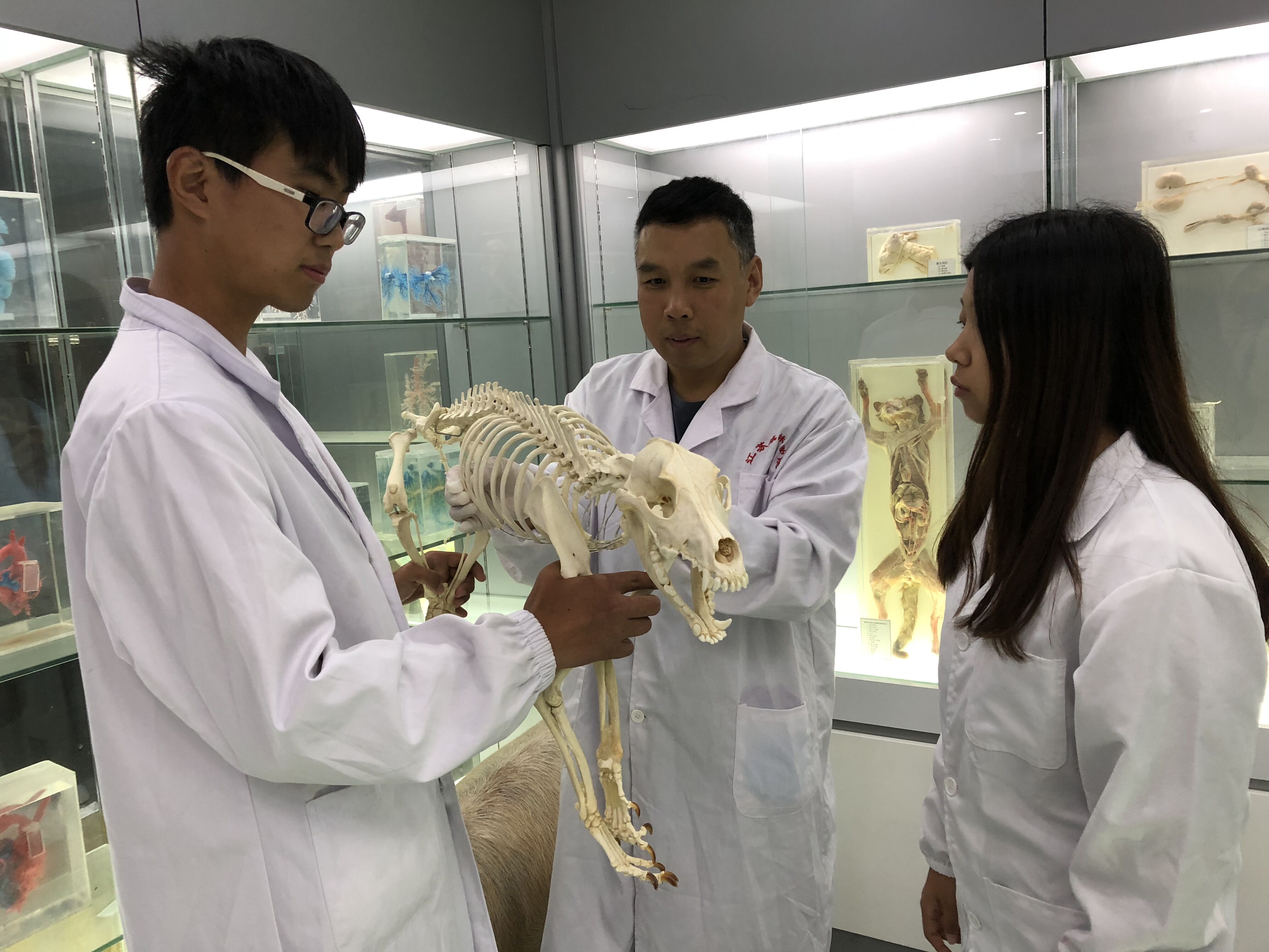 动物标本室-畜牧兽医学院